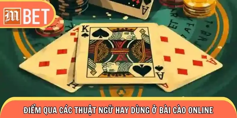 Điểm qua các thuật ngữ hay dùng ở bài cào online