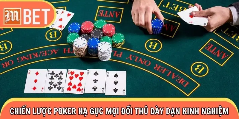 Chiến lược Poker hạ gục mọi đối thủ dày dạn kinh nghiệm