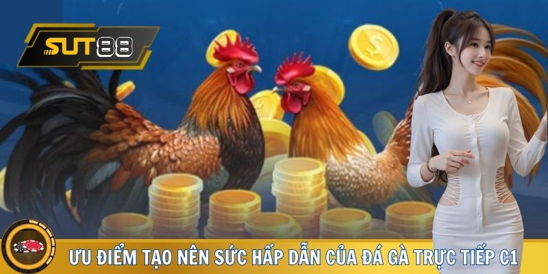 Ưu điểm vàng tạo nên sức hấp dẫn của đá gà trực tiếp C1