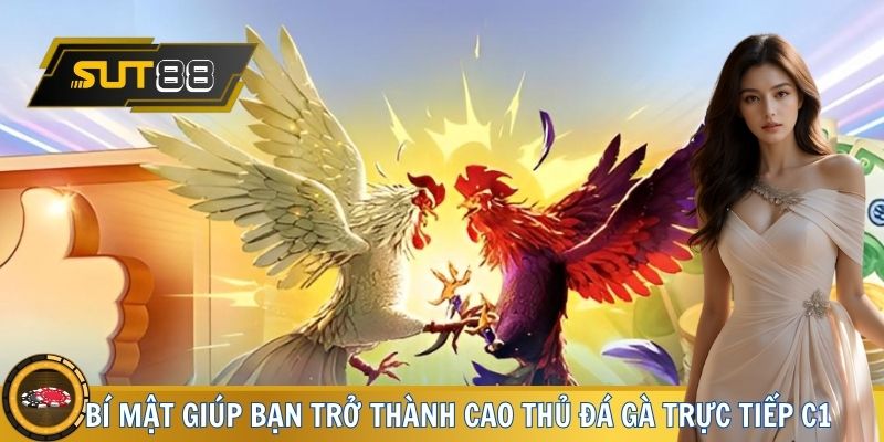 Bí mật giúp bạn từ tân thủ thành cao thủ đá gà trực tiếp C1