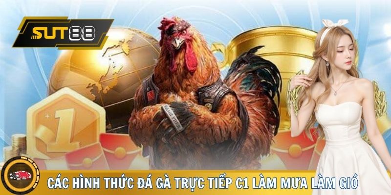 Điểm danh các hình thức đá gà trực tiếp C1 làm mưa làm gió