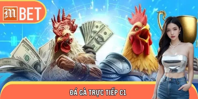 Đá Gà Trực Tiếp C1 - Thỏa Mãn Đam Mê, Xem Giải Mọi Lúc