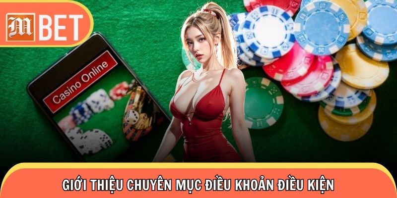 Hiểu rõ chi tiết danh mục điều khoản điều kiện trên nền tảng